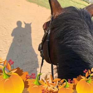 Meet your Posher, Beth